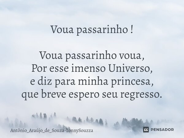 ⁠Voua passarinho ! Voua passarinho voua, Por esse imenso Universo, e diz para minha princesa, que breve espero seu regresso.... Frase de Antônio_Araújo_de_Souza-TonnySouzza.