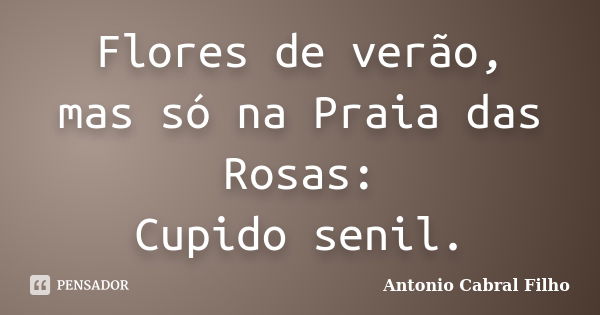 Flores de verão, mas só na Praia das Rosas: Cupido senil.... Frase de Antonio Cabral Filho.