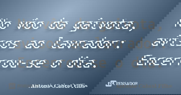 No vôo da gaivota, avisos ao lavrador: Encerrou-se o dia.... Frase de Antonio Cabral Filho.