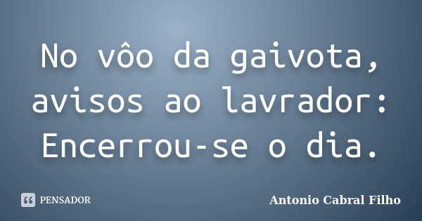 No vôo da gaivota, avisos ao lavrador: Encerrou-se o dia.... Frase de Antonio Cabral Filho.