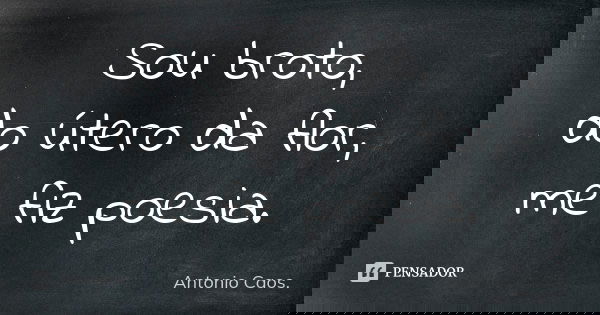 Sou broto, do útero da flor, me fiz poesia.... Frase de Antonio Caos..