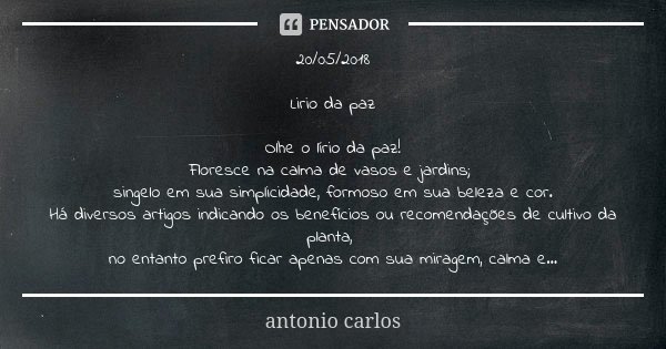 20/05/2018 Lirio da paz Olhe o lírio da... Antonio Carlos - Pensador