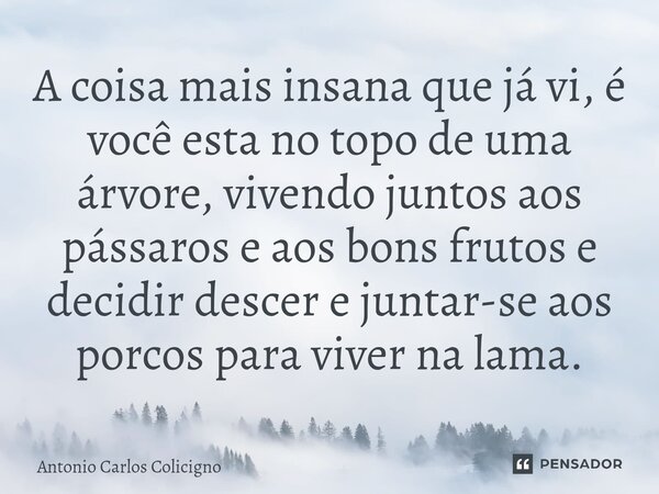 ⁠A coisa mais insana que já vi, é você esta no topo de uma árvore, vivendo juntos aos pássaros e aos bons frutos e decidir descer e juntar-se aos porcos para vi... Frase de Antonio Carlos Colicigno.