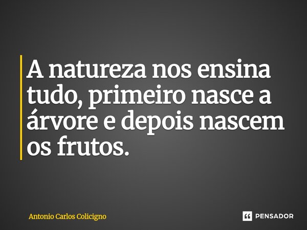 ⁠A natureza nos ensina tudo, primeiro nasce a árvore e depois nascem os frutos.... Frase de Antonio Carlos Colicigno.