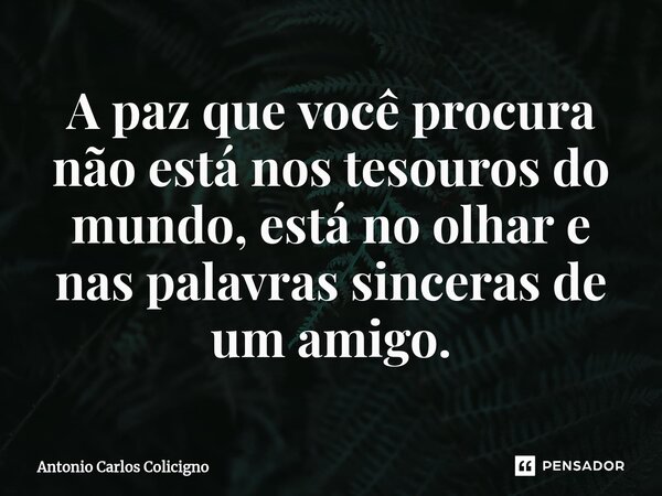 ⁠A paz que você procura não está nos tesouros do mundo, está no olhar e nas palavras sinceras de um amigo.... Frase de Antonio Carlos Colicigno.