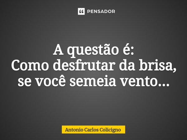 ⁠A questão é: Como desfrutar da brisa, se você semeia vento...... Frase de Antonio Carlos Colicigno.