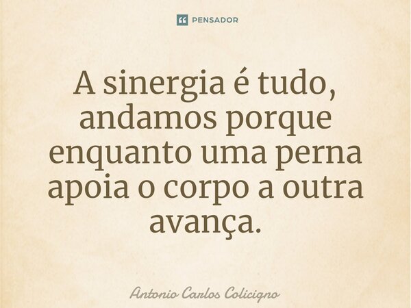 A sinergia é tudo, andamos porque enquanto uma perna apoia o corpo a outra avança.... Frase de Antonio Carlos Colicigno.
