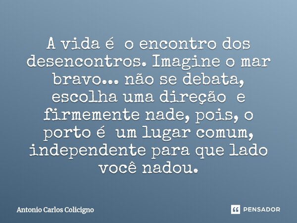 ⁠A vida é o encontro dos desencontros. Imagine o mar bravo... não se debata, escolha uma direção e firmemente nade, pois, o porto é um lugar comum, independente... Frase de Antonio Carlos Colicigno.