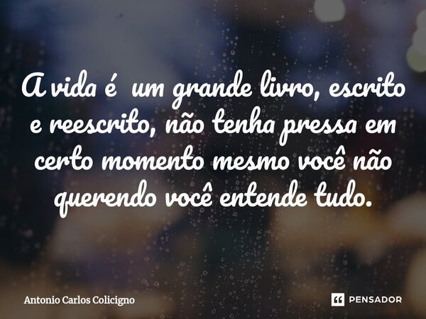 ⁠A vida é um grande livro, escrito e reescrito, não tenha pressa em certo momento mesmo você não querendo você entende tudo.... Frase de Antonio Carlos Colicigno.