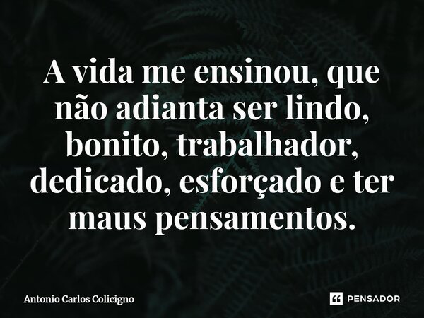 ⁠A vida me ensinou, que não adianta ser lindo, bonito, trabalhador, dedicado, esforçado e ter maus pensamentos.... Frase de Antonio Carlos Colicigno.