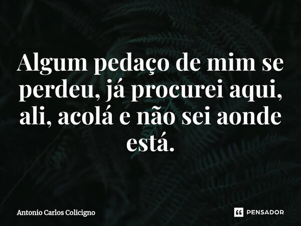 ⁠Algum pedaço de mim se perdeu, já procurei aqui, ali, acolá e não sei aonde está.... Frase de Antonio Carlos Colicigno.