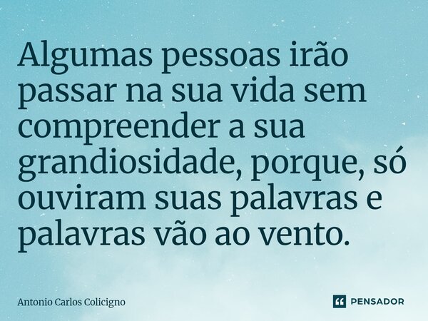 ⁠Algumas pessoas irão passar na sua vida sem compreender a sua grandiosidade, porque, só ouviram suas palavras e palavras vão ao vento.... Frase de Antonio Carlos Colicigno.