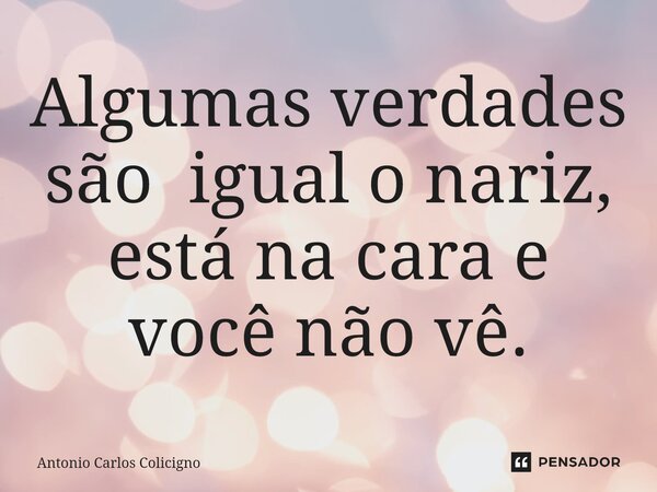 ⁠Algumas verdades são igual o nariz, está na cara e você não vê.... Frase de Antonio Carlos Colicigno.