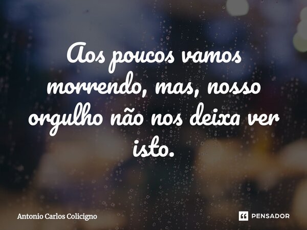 ⁠Aos poucos vamos morrendo, mas, nosso orgulho não nos deixa ver isto.... Frase de Antonio Carlos Colicigno.