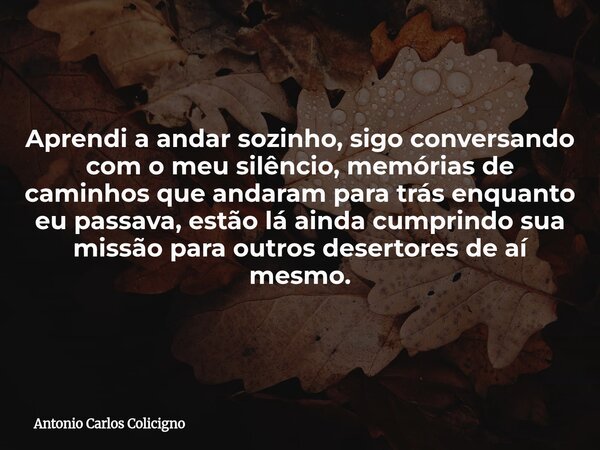 Aprendi a andar sozinho, sigo conversando com o meu silêncio, memórias de caminhos que andaram para trás enquanto eu passava, estão lá ainda cumprindo sua missã... Frase de Antonio Carlos Colicigno.