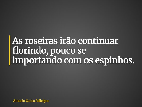 As roseiras irão continuar florindo, pouco se importando com os espinhos.... Frase de Antonio Carlos Colicigno.