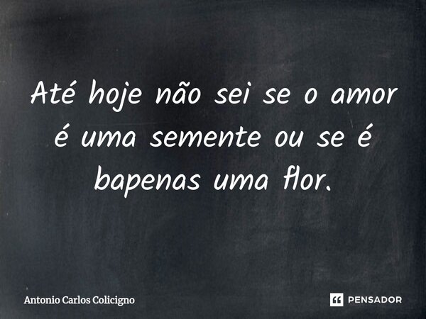 Até hoje não sei se o amor é uma semente ou se é apenas uma flor.⁠... Frase de Antonio Carlos Colicigno.