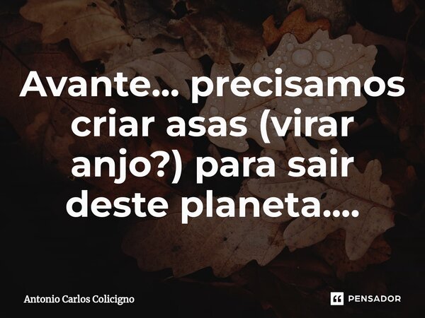 ⁠Avante... precisamos criar asas (virar anjo?) para sair deste planeta....... Frase de Antonio Carlos Colicigno.