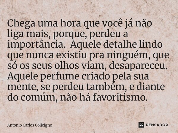 Chega uma hora que você já não liga mais, porque, perdeu a importância. Aquele detalhe lindo que nunca existiu pra ninguém, que só os seus olhos viam, desapare... Frase de Antonio Carlos Colicigno.