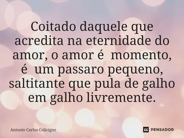 ⁠Coitado daquele que acredita na eternidade do amor, o amor é momento, é um passaro pequeno, saltitante que pula de galho em galho livremente.... Frase de Antonio Carlos Colicigno.