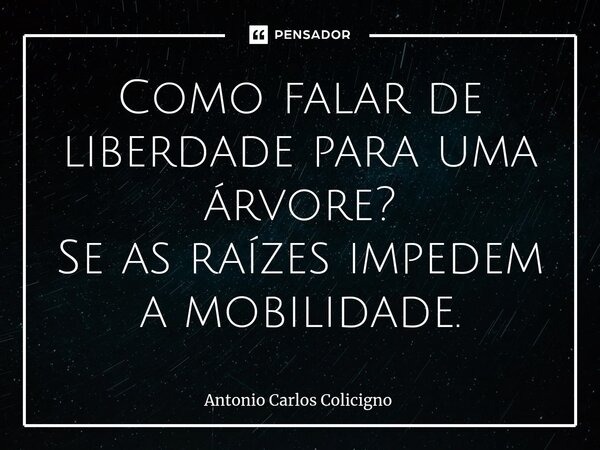 ⁠Como falar de liberdade para uma árvore? Se as raízes impedem a mobilidade.... Frase de Antonio Carlos Colicigno.