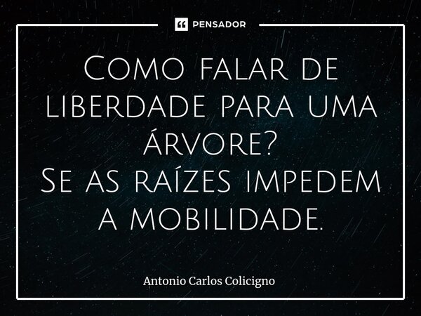 ⁠Como falar de liberdade para uma árvore? Se as raízes impedem a mobilidade.... Frase de Antonio Carlos Colicigno.