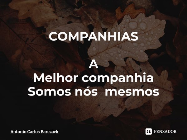 ⁠COMPANHIAS A Melhor companhia Somos nós mesmos... Frase de Antonio Carlos Barczack.