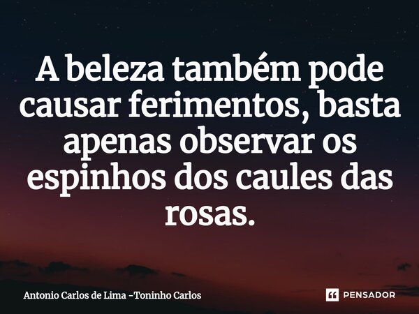 ⁠A beleza também pode causar ferimentos, basta apenas observar os espinhos dos caules das rosas.... Frase de Antonio Carlos de Lima -Toninho Carlos.