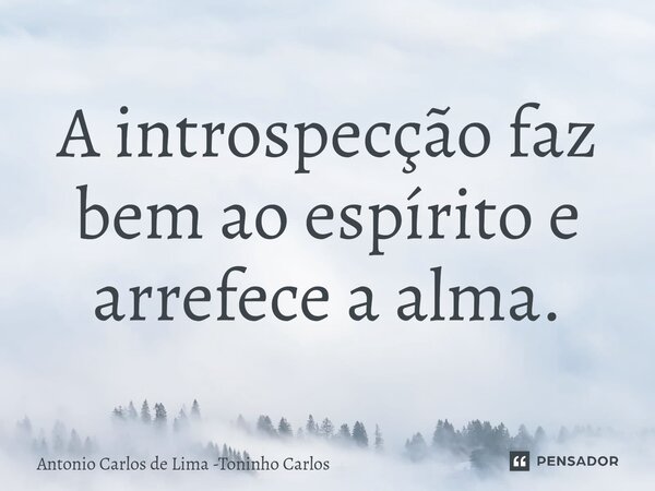 ⁠A introspecção faz bem ao espírito e arrefece a alma.... Frase de Antonio Carlos de Lima -Toninho Carlos.