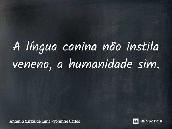 ⁠A língua canina não instila veneno, a humanidade sim.... Frase de Antonio Carlos de Lima -Toninho Carlos.