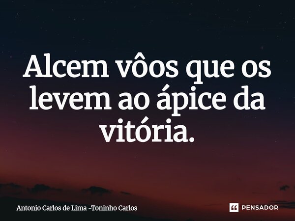 ⁠Alcem vôos que os levem ao ápice da vitória.... Frase de Antonio Carlos de Lima -Toninho Carlos.