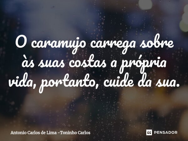 ⁠O caramujo carrega sobre às suas costas a própria vida, portanto, cuide da sua.... Frase de Antonio Carlos de Lima -Toninho Carlos.