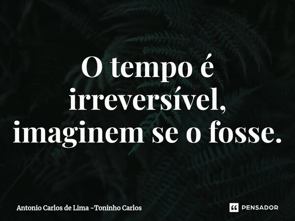 ⁠O tempo é irreversível, imaginem se o fosse.... Frase de Antonio Carlos de Lima -Toninho Carlos.