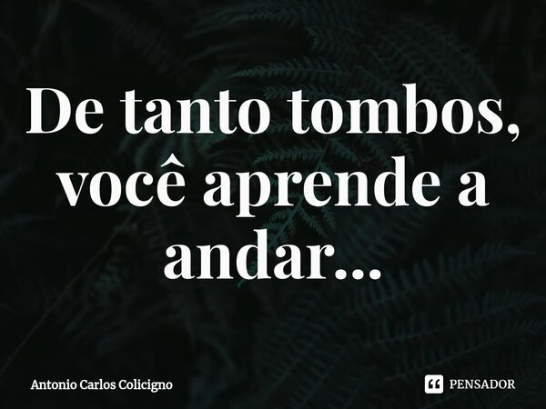 ⁠De tanto tombos, você aprende a andar...... Frase de Antonio Carlos Colicigno.