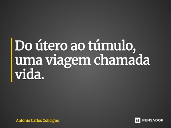 Do útero ao túmulo, uma viagem chamada vida.⁠... Frase de Antonio Carlos Colicigno.