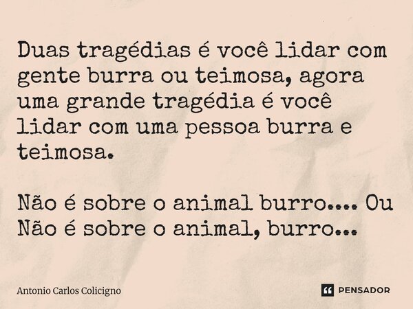 Duas tragédias é você lidar com gente burra ou teimosa, agora uma grande tragédia é você lidar com uma pessoa burra e teimosa. Não é sobre o animal burro.... O... Frase de Antonio Carlos Colicigno.