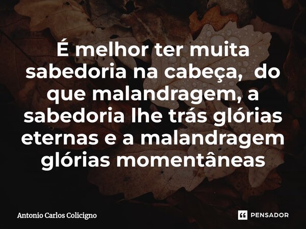⁠É melhor ter muita sabedoria na cabeça, do que malandragem, a sabedoria lhe trás glórias eternas e a malandragem glórias momentâneas... Frase de Antonio Carlos Colicigno.