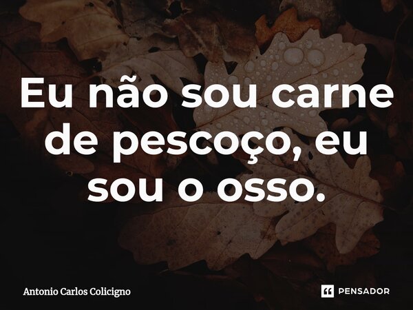 Eu não sou carne de pescoço, eu sou o osso.⁠... Frase de Antonio Carlos Colicigno.
