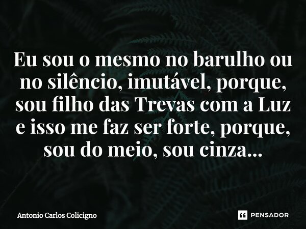 ⁠Eu sou o mesmo no barulho ou no silêncio, imutável, porque, sou filho das Trevas com a Luz e isso me faz ser forte, porque, sou do meio, sou cinza...... Frase de Antonio Carlos Colicigno.