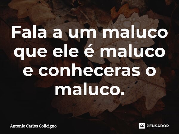 ⁠Fala a um maluco que ele é maluco e conheceras o maluco.... Frase de Antonio Carlos Colicigno.