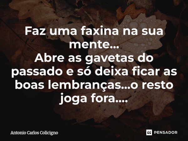 Faz uma faxina na sua mente... Abre as gavetas do passado e só deixa ficar as boas lembranças...o resto joga fora....... Frase de Antonio Carlos Colicigno.
