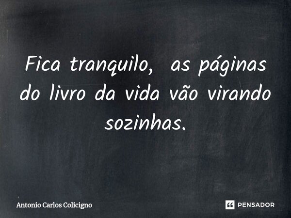 ⁠Fica tranquilo, as páginas do livro da vida vão virando sozinhas.... Frase de Antonio Carlos Colicigno.