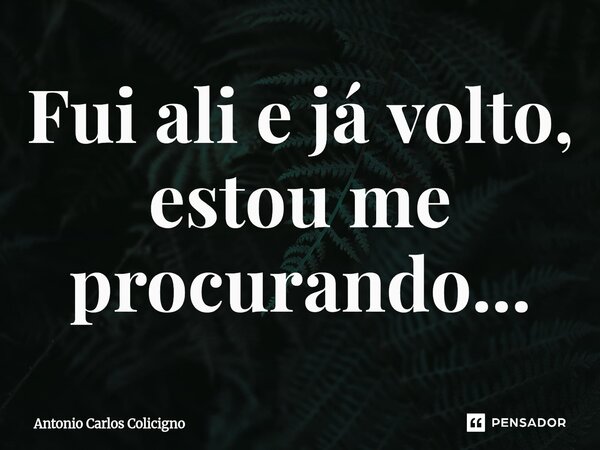 Fui ali e já volto, estou me procurando...⁠... Frase de Antonio Carlos Colicigno.
