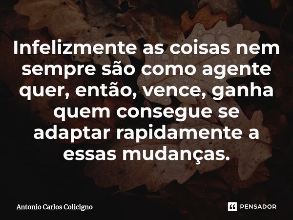 ⁠Infelizmente as coisas nem sempre são como agente quer, então, vence, ganha quem consegue se adaptar rapidamente a essas mudanças.... Frase de Antonio Carlos Colicigno.