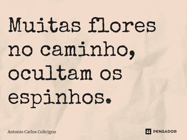 ⁠Muitas flores no caminho, ocultam os espinhos.... Frase de Antonio Carlos Colicigno.