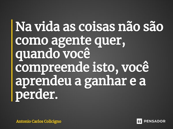 ⁠Na vida as coisas não são como agente quer, quando você compreende isto, você aprendeu a ganhar e a perder.... Frase de Antonio Carlos Colicigno.