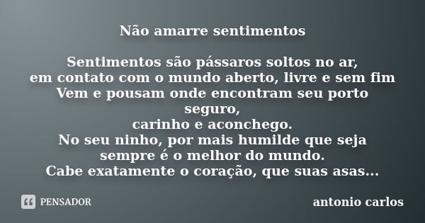 Não amarre sentimentos Sentimentos são pássaros soltos no ar, em contato com o mundo aberto, livre e sem fim Vem e pousam onde encontram seu porto seguro, carin... Frase de Antonio Carlos.