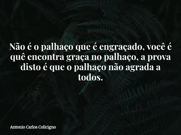 Não é o palhaço que é engraçado, você é quê encontra graça no palhaço, a prova disto é que o palhaço não agrada a todos.... Frase de Antonio Carlos Colicigno.
