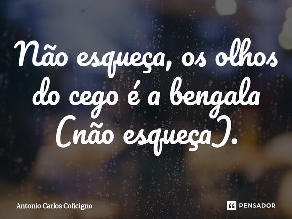 ⁠Não esqueça, os olhos do cego é a bengala (não esqueça).... Frase de Antonio Carlos Colicigno.
