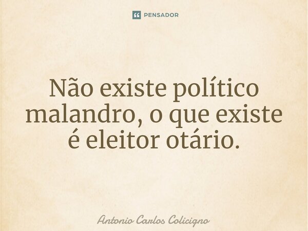 Não existe político malandro, o que existe é eleitor otário.⁠... Frase de Antonio Carlos Colicigno.